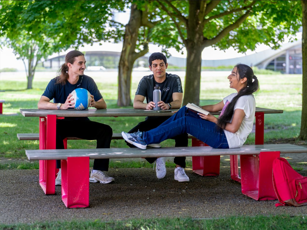 placeholder - card module